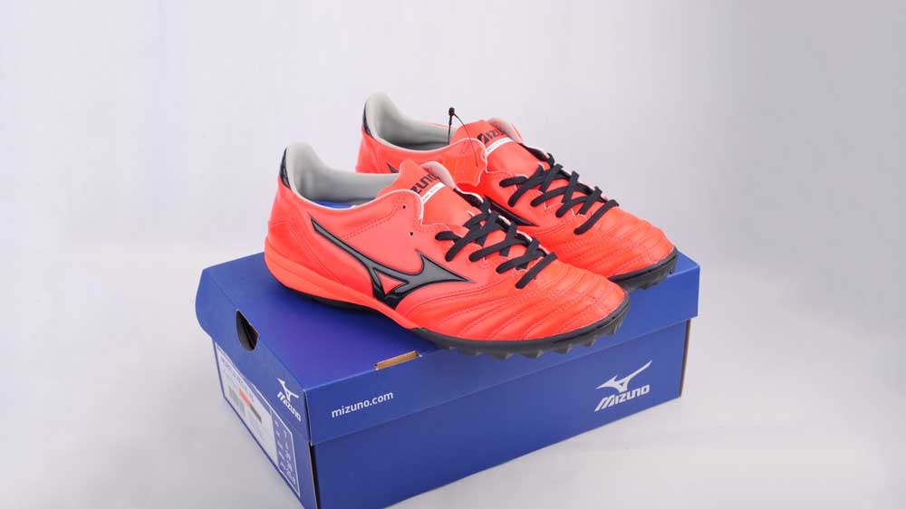 morelia neo kl as